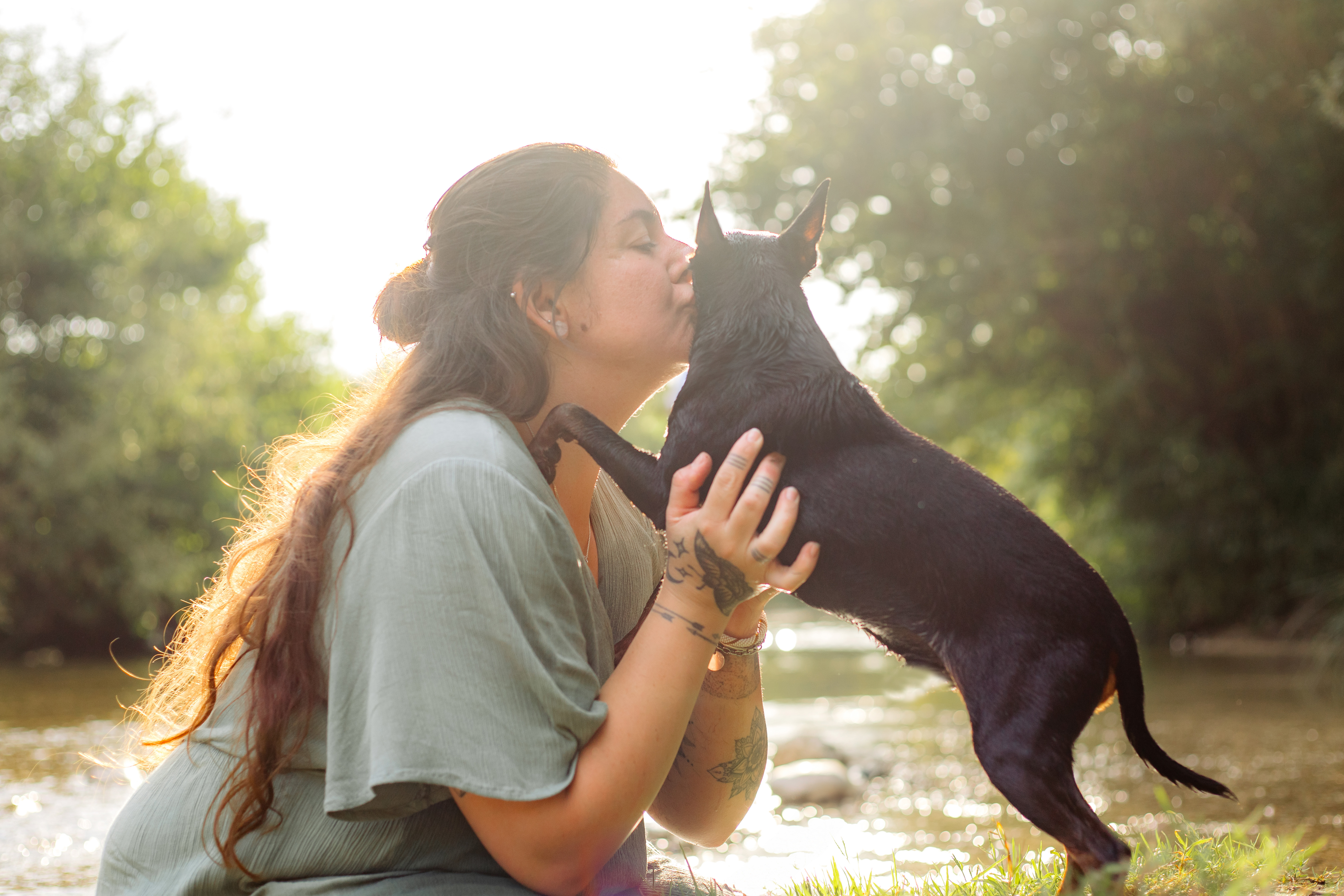 activité pour chien originale